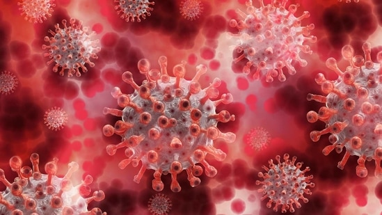 According to the researchers, including those from the University of Pittsburgh in the US, the coronavirus undergoes selective deletions in parts of its genetic sequence that encode for the shape of its spike protein. (Pixabay) According to the researchers, including those from the University of Pittsburgh in the US, the coronavirus undergoes selective deletions in parts of its genetic sequence that encode for the shape of its spike protein. (Pixabay)