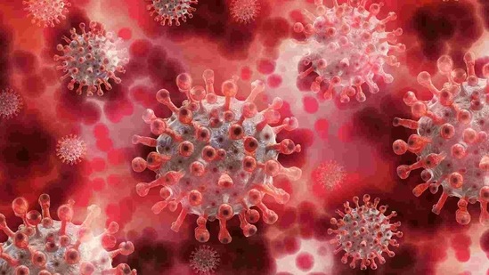 The deletion occurs when the virus replicates and because the coronavirus has a faulty biological “proofreader”, the deletions are not caught. (Pixabay) The deletion occurs when the virus replicates and because the coronavirus has a faulty biological “proofreader”, the deletions are not caught. (Pixabay)