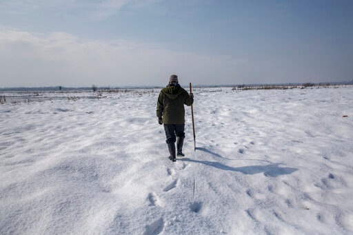 Ghulam Mohiuddin Dar, a wildlife official, walks over a swamp covered with frozen snow. (AP) Ghulam Mohiuddin Dar, a wildlife official, walks over a swamp covered with frozen snow. (AP)