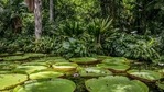 The study on climate change views, organized by Brazil's Institute of Technology and Society and the U.S.-based Yale Program on Climate Change Communication, found younger Brazilians in particular see global warming as a major threat to their lives now, as well as in the future.(Unsplash)