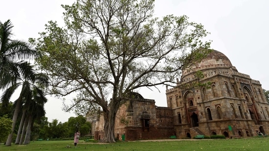 The grand Peepal tree inside the Lodhi gardens, also known as the Bodhi tree. The light rain on Thursday, coupled with strong winds, improved the city’s air quality significantly. (Burhaan Kinu / HT Archive) The grand Peepal tree inside the Lodhi gardens, also known as the Bodhi tree. The light rain on Thursday, coupled with strong winds, improved the city’s air quality significantly. (Burhaan Kinu / HT Archive)