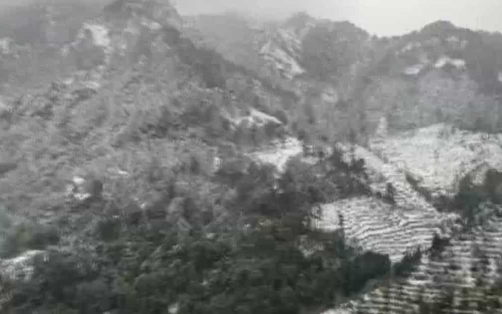 The queen of the hills is enmeshed in white pristine snow. (ANI)