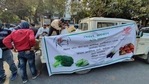 Organic vegetables being sold at a neighbourhood street market in Patna.(HT Photo) Organic vegetables being sold at a neighbourhood street market in Patna.(HT Photo)