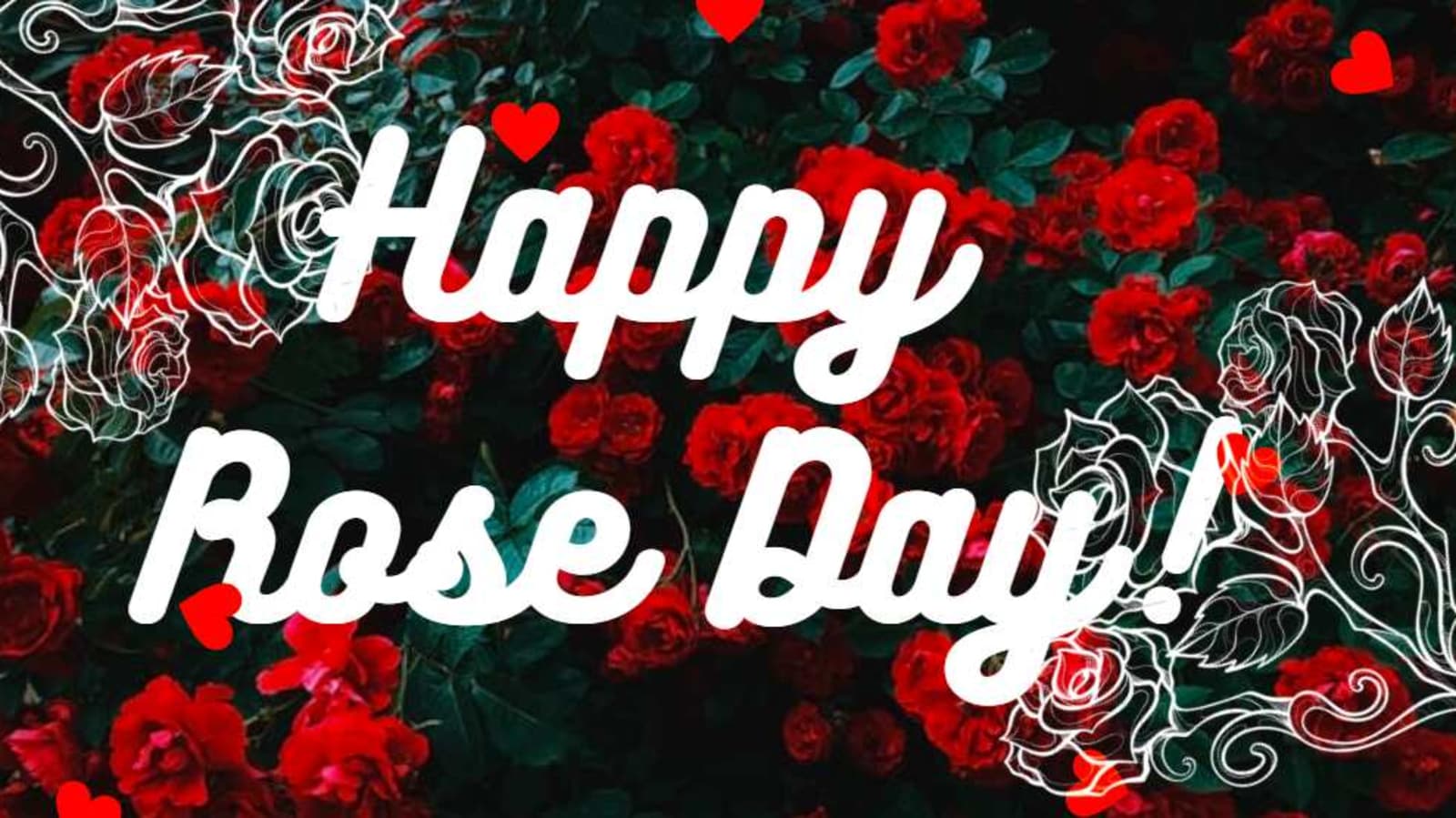 Rose Day: Wishes, quotes and images to share with your loved ones ...