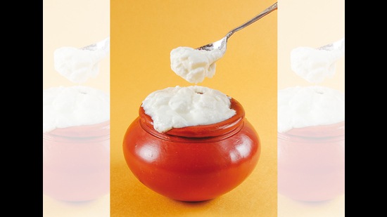 The most significant source of good bacteria in our diets is dahi The most significant source of good bacteria in our diets is dahi