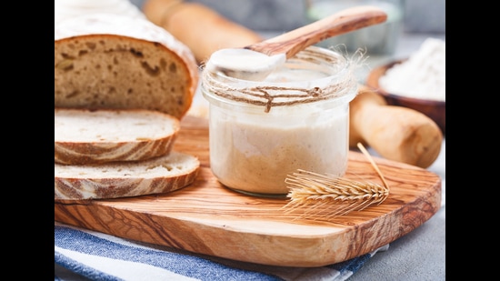 The bacterium that gives sourdough its khatta taste is also a version of lactobacillus The bacterium that gives sourdough its khatta taste is also a version of lactobacillus