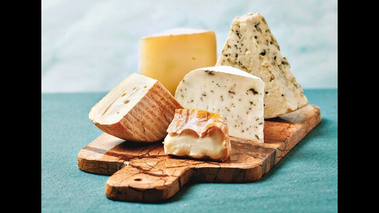 Bacteria have a huge part to play in giving cheeses their distinctive flavour Bacteria have a huge part to play in giving cheeses their distinctive flavour