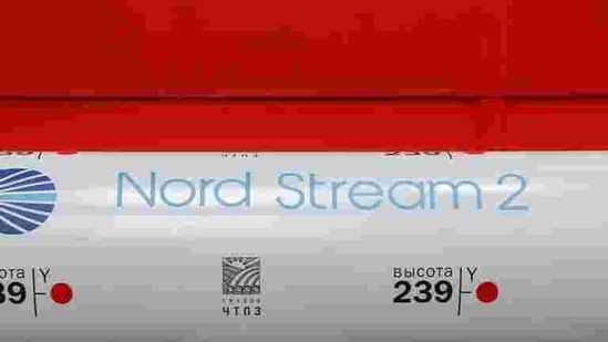 The Nord Stream 2 gas pipeline (REUTERS) The Nord Stream 2 gas pipeline (REUTERS)