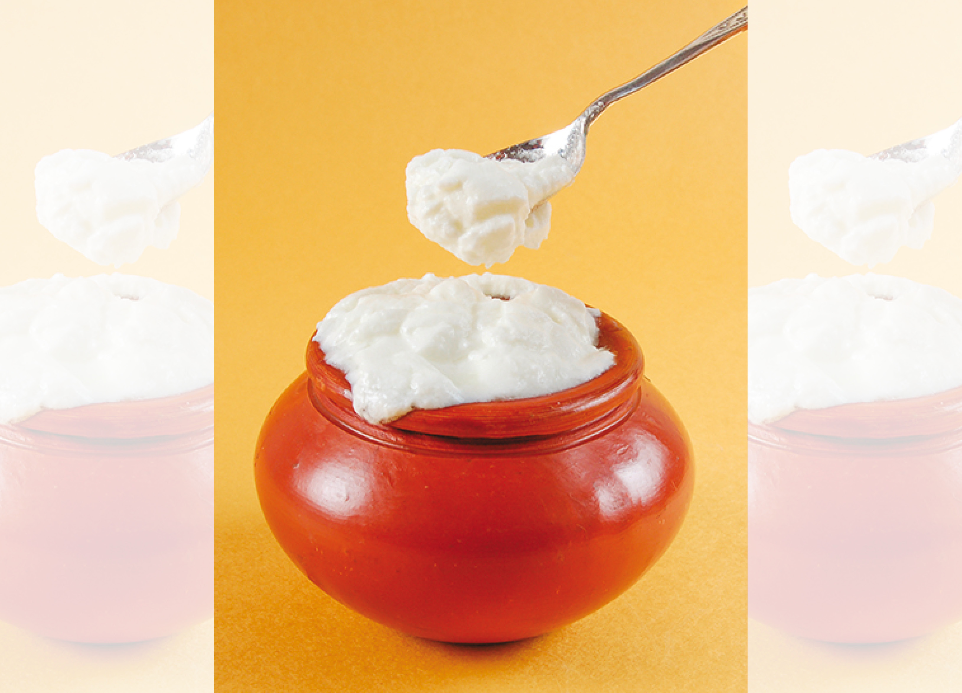 The most significant source of good bacteria in our diets is dahi