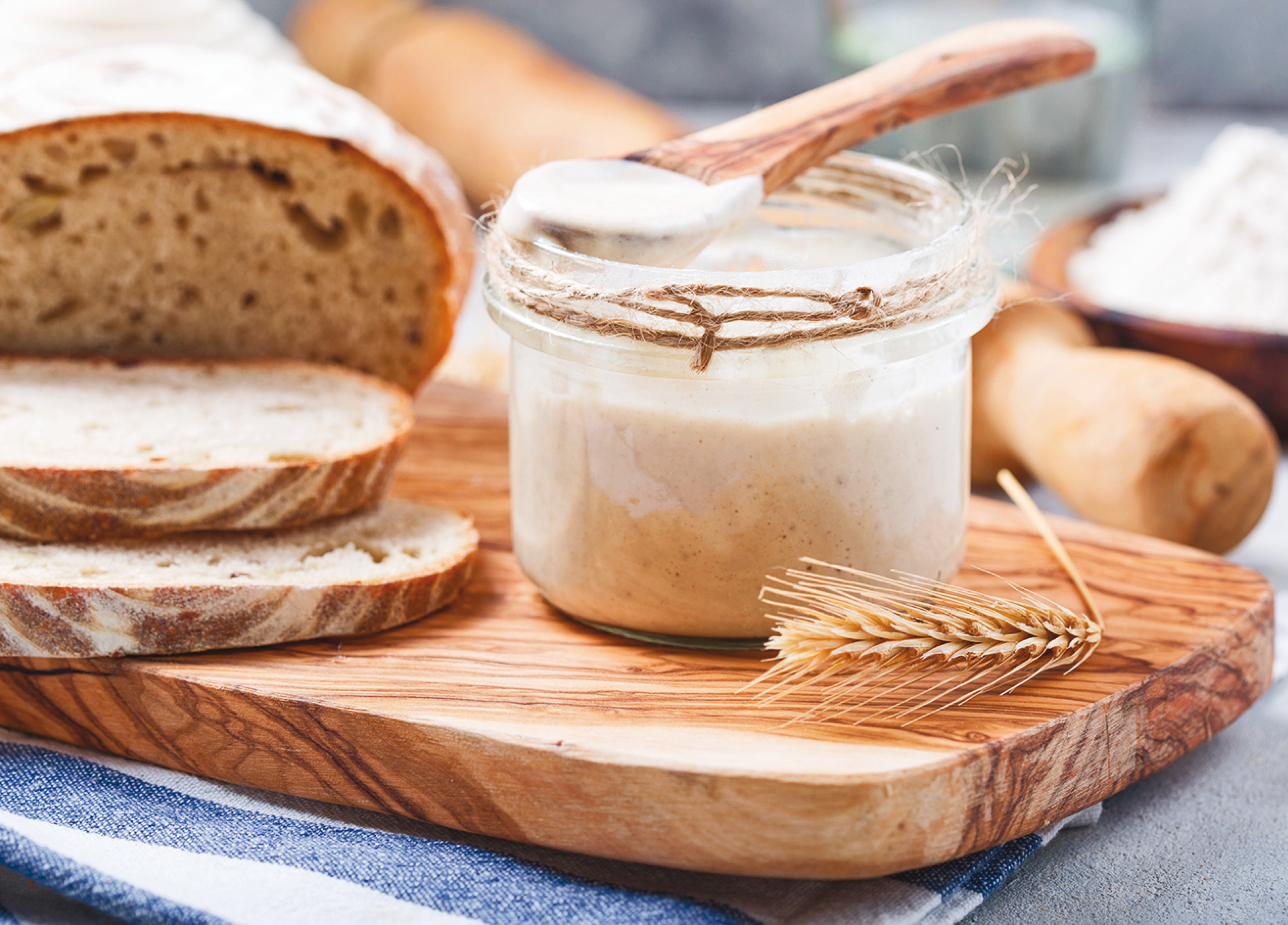 The bacterium that gives sourdough its khatta taste is also a version of lactobacillus