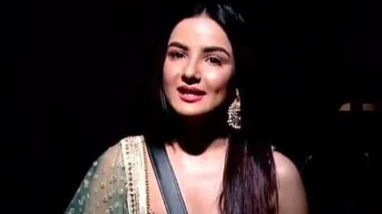 Jasmin Bhasin re-entered Bigg Boss 14 to support Aly Goni.(Colors)