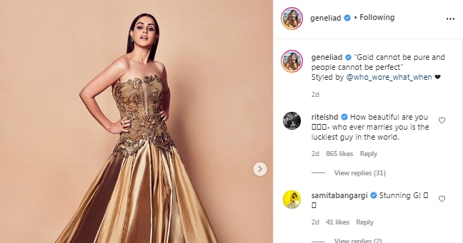 Riteish Deshmukh's comment on Genelia D'Souza's pictures (Instagram/geneliad)