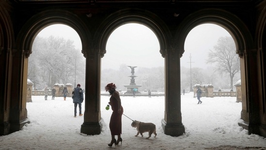 A woman walks a dog through the Bethesda Terrace in Central Park as heavy snow falls in Manhattan on February 7.(Andrew Kelly / REUTERS)