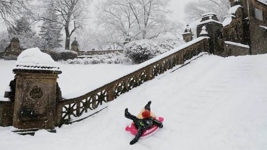 A person slides down snow-covered stairs in Central Park on February 7.(Andrew Kelly / REUTERS)