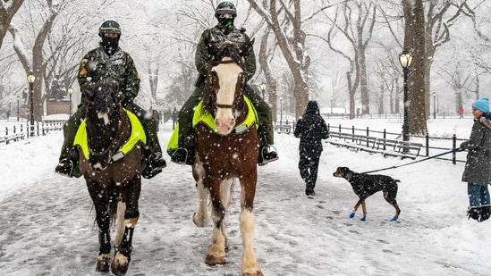 Two members of the NYPD elite mounted unit patrol in Central Park during a snow storm on February 7 in New York City. The second snowstorm in a week, this is expected to drop up to eight inches of snow in the New York City area.( David Dee Delgado / Getty Images / AFP)