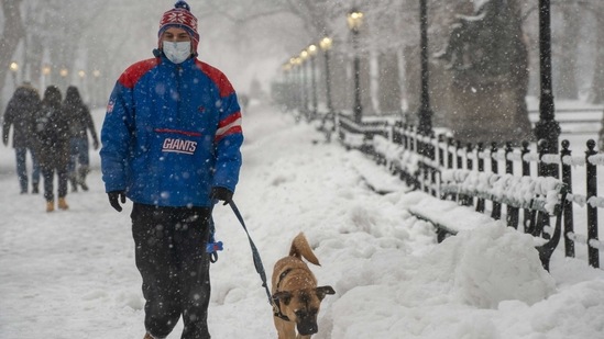 A person walks a dog in Central Park during a snow storm on February 7. The city’s subway system is running, but transit officials have urged residents to stay home if possible.(David Dee Delgado / Getty Images / AFP)
