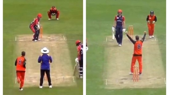 Tim Paine gets a wicet.(Screenshot/Twitter) Tim Paine gets a wicet.(Screenshot/Twitter)