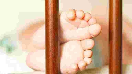 Image for representation.(Representational Photo/Shutterstock) Image for representation.(Representational Photo/Shutterstock)