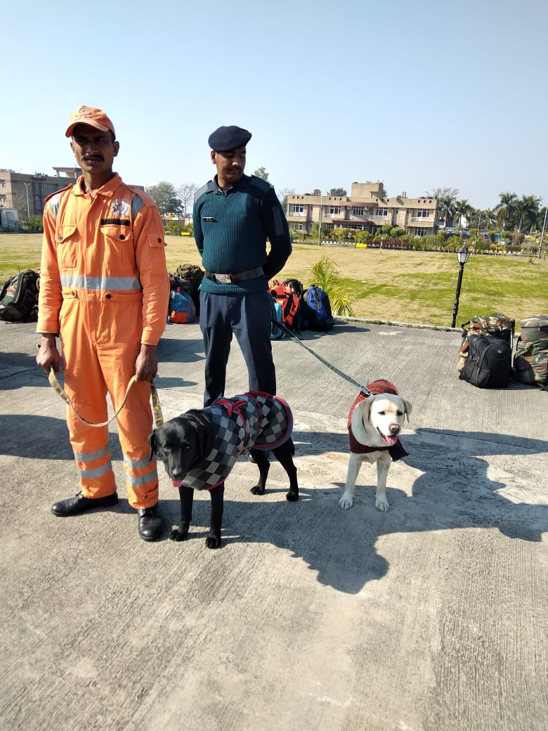 ITBP deploys sniffer dogs at the Tapovan tunnel for rescue operations.