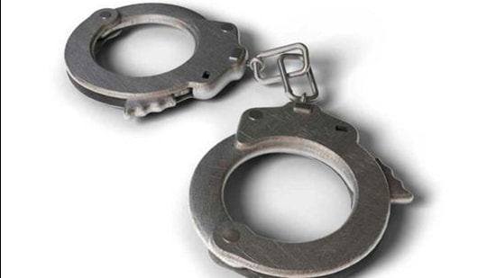 Mumbai: Court acquits man held for killing mother Mumbai: Court acquits man held for killing mother