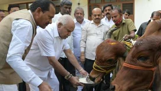 Although the government has allowed the slaughter of the buffaloes aged above 13, the demand is dismal, say traders. (Photo @CMofKarnataka)