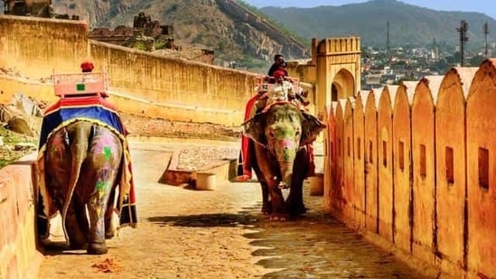 Elephant rides at 16th Century Amer Fort, located about 11 kilometres from Jaipur, (Shutterstock)