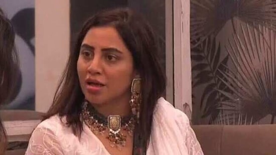 Arshi Khan was voted out of Bigg Boss 14.(Colors)