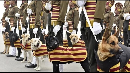 An Indian army dog squad. (HT archive)