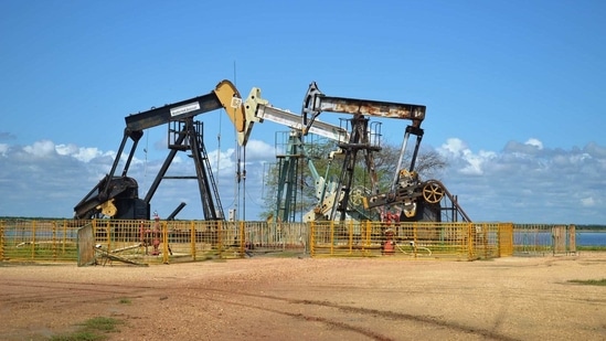 Fossil fuels are alone responsible for more than 8 million premature deaths annually, according to new research by a team of U.S. and U.K.(Pixabay) Fossil fuels are alone responsible for more than 8 million premature deaths annually, according to new research by a team of U.S. and U.K.(Pixabay)