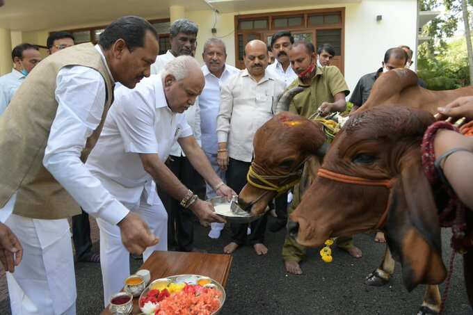 Although the government has allowed the slaughter of the buffaloes aged above 13, the demand is dismal, say traders. (Photo @CMofKarnataka) Although the government has allowed the slaughter of the buffaloes aged above 13, the demand is dismal, say traders. (Photo @CMofKarnataka)