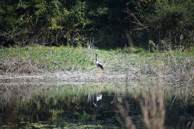 A total of 36 birders were involved in the exercise which had the objectives to record and estimate waterfowl and winter migratory birds and to monitor and assess the health of wetlands. A total of 36 birders were involved in the exercise which had the objectives to record and estimate waterfowl and winter migratory birds and to monitor and assess the health of wetlands.