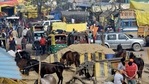A view of the farmers' protest site at Singhu Border, in Delhi. (ANI Photo) A view of the farmers' protest site at Singhu Border, in Delhi. (ANI Photo)