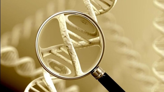 DNA samples collected are used to statistically create composites of “types” of people — racial, ethnic and so on. (Shutterstock)