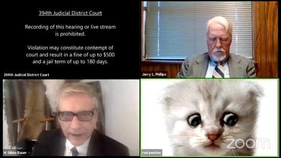 Lawyer Cat Zoom Video Youtube / No kitten around: Zoom filter turns lawyer into cat during ... - Former 'bachelor' star says he is gay.