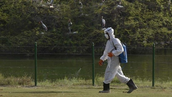 In a statement issued by the Union ministry, authorities have been directed to use a disinfectant spray of lime juice, Virkon-S and sodium hypochlorite, and a foot bath of potassium permanganate, at regular intervals. (HT/File Photo) In a statement issued by the Union ministry, authorities have been directed to use a disinfectant spray of lime juice, Virkon-S and sodium hypochlorite, and a foot bath of potassium permanganate, at regular intervals. (HT/File Photo)