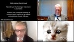 This image from video shows attorney with the cat filter on.(AP) This image from video shows attorney with the cat filter on.(AP)