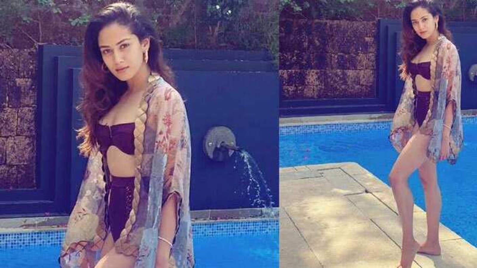 Mira Rajput jokes 'bikini bodies are like avocados', fans claim she proves the theory wrong