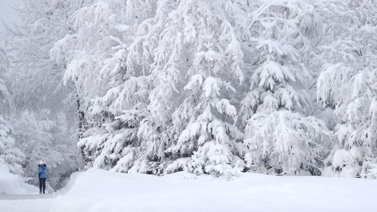 A woman walks through snow and ice covered trees near Altenberg, Germany on February 10. Snow is expected to decrease in the coming days, according to forecasters, but temperatures as cold as -20 C mean travel conditions will remain risky.(Matthias Schrader / AP)