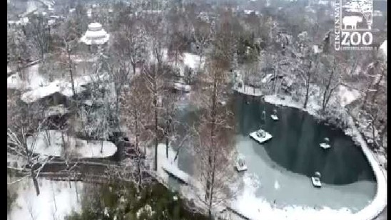 The image shows the snowy zoo.(Twitter/@CincinnatiZoo)