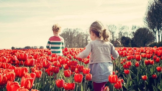 Children and teenagers from poorer families and those with migrant roots are disproportionally affected, according to the study. (Pixabay) Children and teenagers from poorer families and those with migrant roots are disproportionally affected, according to the study. (Pixabay)