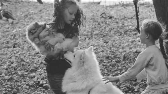 Pet pooches seek child-like attention, put a 'dog show' when humans are watching(Photo by Valerie Elash on Unsplash) Pet pooches seek child-like attention, put a 'dog show' when humans are watching(Photo by Valerie Elash on Unsplash)