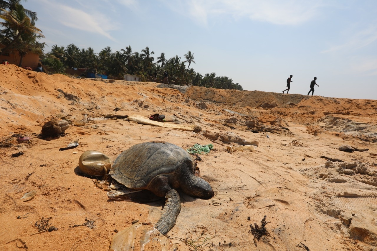 Kerala orders probe into oil spill from titanium factory to sea ...