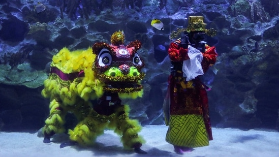 Divers perform an underwater lion dance at KLCC Aquaria during Lunar New Year celebrations in Kuala Lumpur, Malaysia on February 12. The traditions of the festival involve the famous dragon and lion dance, gifting money wrapped in red envelopes, calligraphy — Chinese letters hung in a diamond-shaped red paper to signify the arrival of good luck and fireworks.(Lim Huey Teng / REUTERS)