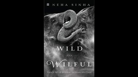 232pp, ₹599; HarperCollins 232pp, ₹599; HarperCollins