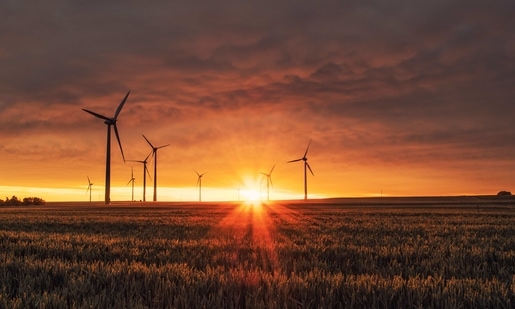 Addressing the World Sustainable Development Summit on Wednesday, Jaishankar said India currently had the fastest-growing solar energy programme in the world.(Unsplash) Addressing the World Sustainable Development Summit on Wednesday, Jaishankar said India currently had the fastest-growing solar energy programme in the world.(Unsplash)