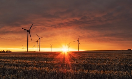 Addressing the World Sustainable Development Summit on Wednesday, Jaishankar said India currently had the fastest-growing solar energy programme in the world.(Unsplash)