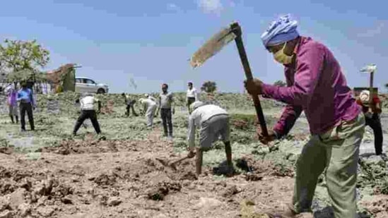 Labourers working at a MNREGA site in a village in Amethi district of Uttar Pradesh. (Representative Image)(PTI File)