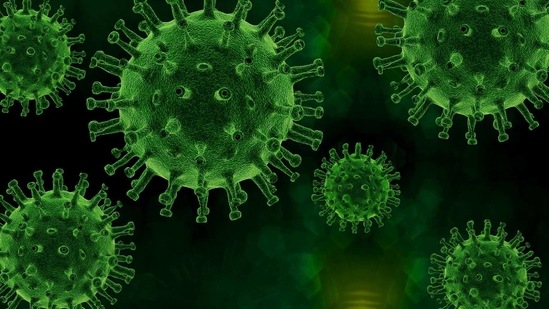 The researchers noted that neutralising antibodies that specifically target the receptor-binding domain (RBD) of the SARS-CoV-2 spike protein -- which the virus uses to enter human cells -- are thought to be essential for controlling it. (Pixabay) The researchers noted that neutralising antibodies that specifically target the receptor-binding domain (RBD) of the SARS-CoV-2 spike protein -- which the virus uses to enter human cells -- are thought to be essential for controlling it. (Pixabay)