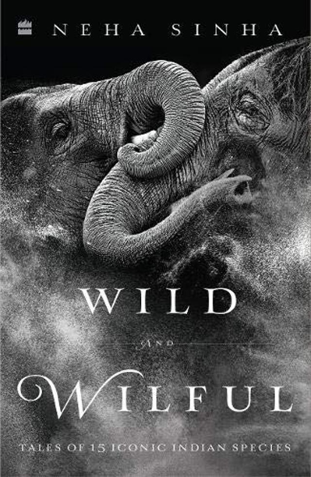 232pp, ₹599; HarperCollins 232pp, ₹599; HarperCollins