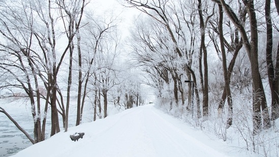 Authorities blocked roads close to some popular skating spots and ordered skaters off dangerously thin ice in some locations. (Representational Image)(Unsplash) Authorities blocked roads close to some popular skating spots and ordered skaters off dangerously thin ice in some locations. (Representational Image)(Unsplash)